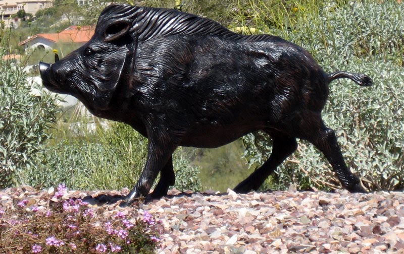 Waterrose Handcrafted Obsessions Javelina Arizona and Art