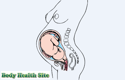 7 Function of Amniotic Fluid for the Fetus