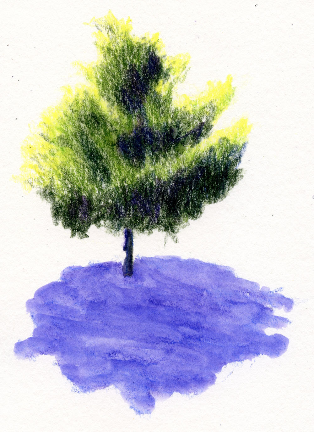 Fueled by Clouds & Coffee: Tree Studies in Color (Or a Lesson in Patience)
