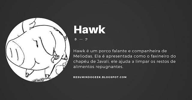 Hawk - resumindo Geek