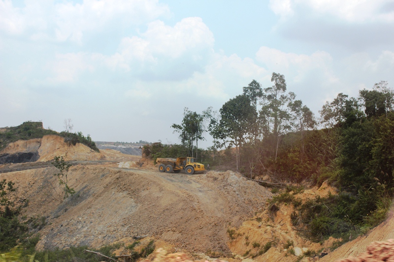 Menjelajahi Bukit Soeharto, Kawasan Hutan di Kalimantan