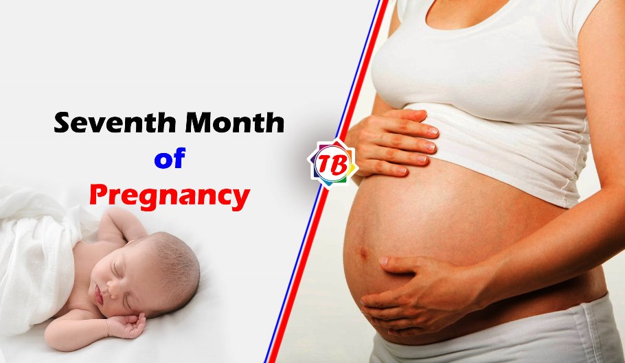Seventh Month of Pregnancy
