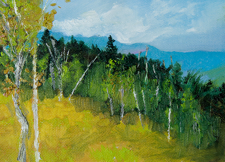 Susan Fowler Fine Art Colorado Landscape Oil Painting "The Overlook