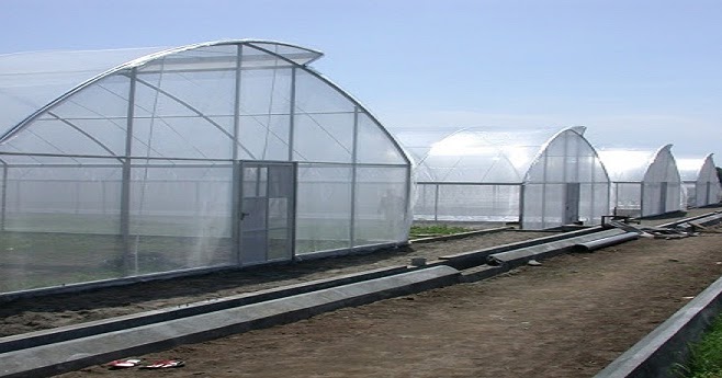 Kontraktor Green House Green House Sederhana, Biaya