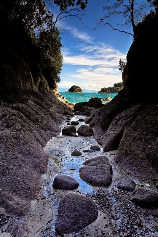 Abel Tasman National Park, Nelson-10 Beautiful Beaches in New Zealand