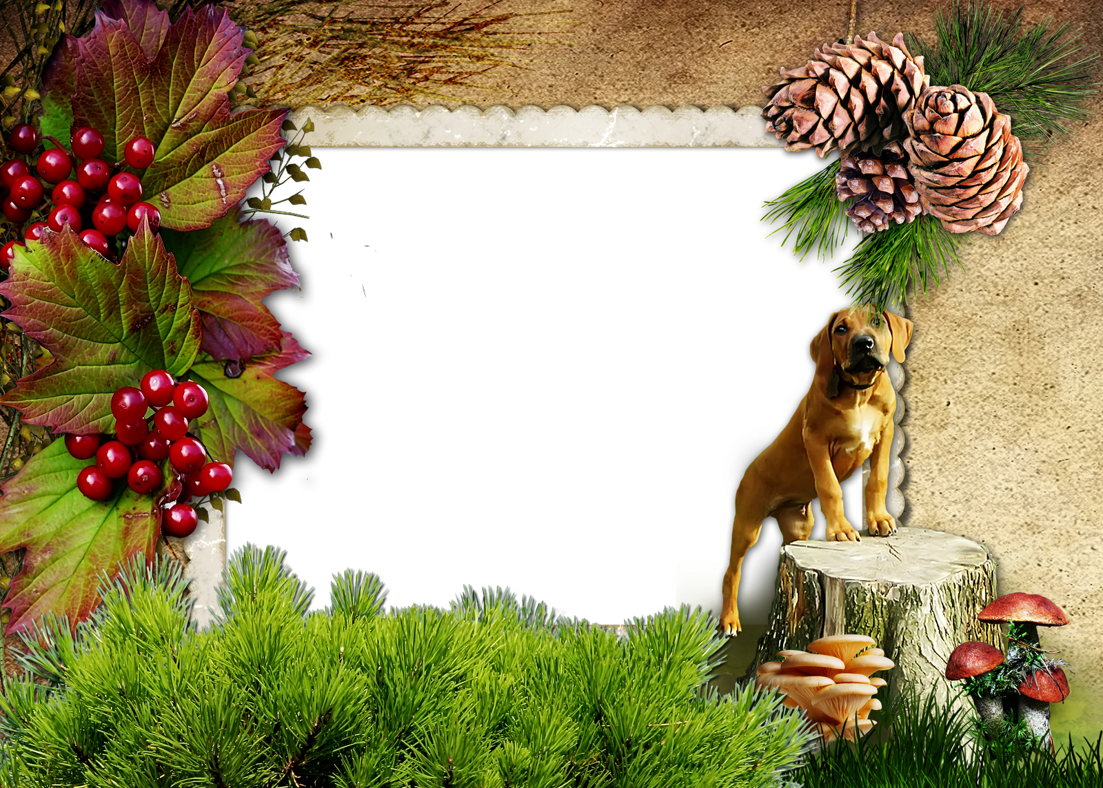 MARCOS GRATIS PARA FOTOS: MARCOS GRATIS PARA FOTOS, PNG MARCOS OTOÑALES