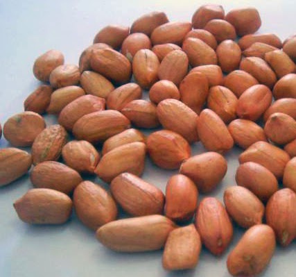 manfaat kacang tanah sangrai manfaat kacang tanah sangrai
