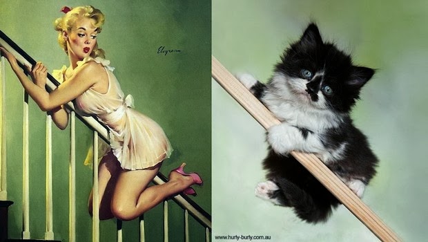 cats that look like pin up girls