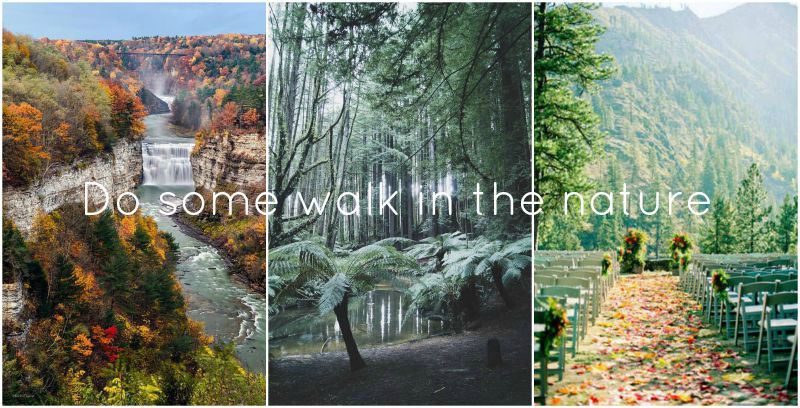 TheBlondeLion Lifestyle Blog 10 things to do in Autumn - 1 nature walks