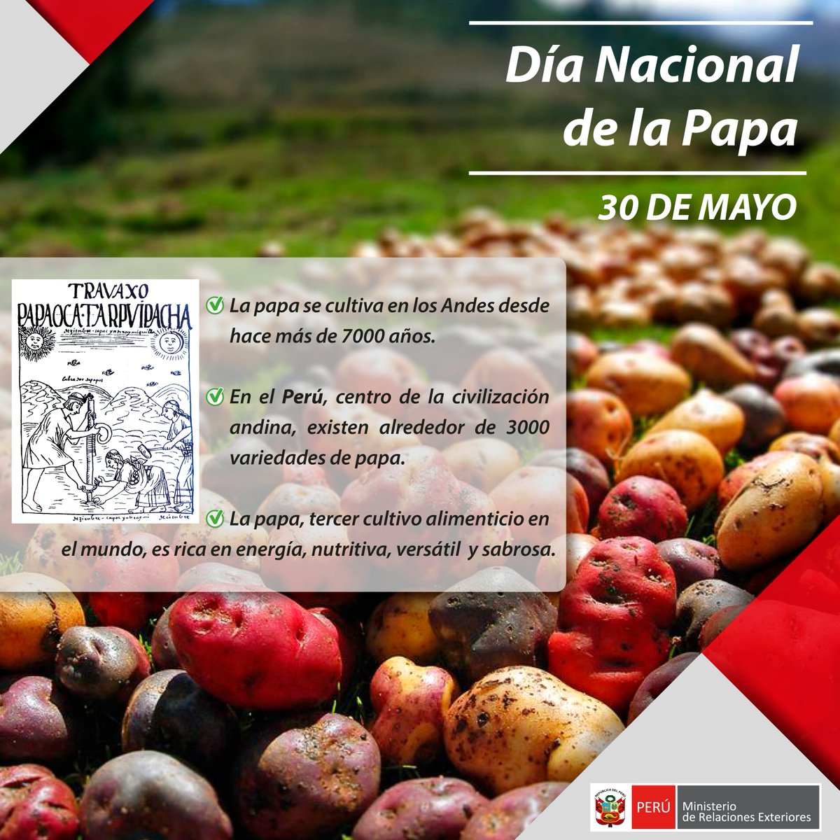 EXPORTACIONES DEL PERU CON LOS TLC PERÚ DIA NACIONAL DE LA PAPA
