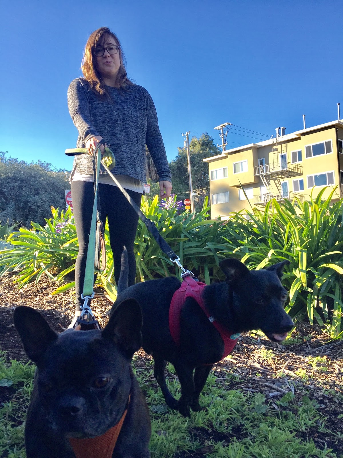 Pennsylvania Street Gardens Clean & Green Team At Pennsylvania Garden