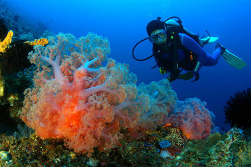 scuba diving destinations in Indonesia The most popular scuba diving destinations in Indonesia