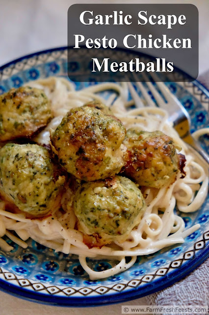 Ground chicken and garlic scape pesto makes a flavorful meatball. Serve this tasty Spring treat over pasta, in a meatball sub, as an appetizer or on a pizza!