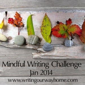 Mindful Writing Challenge 2014