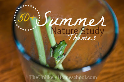 50+ Summer Nature Themes {The Unlikely Homeschool}