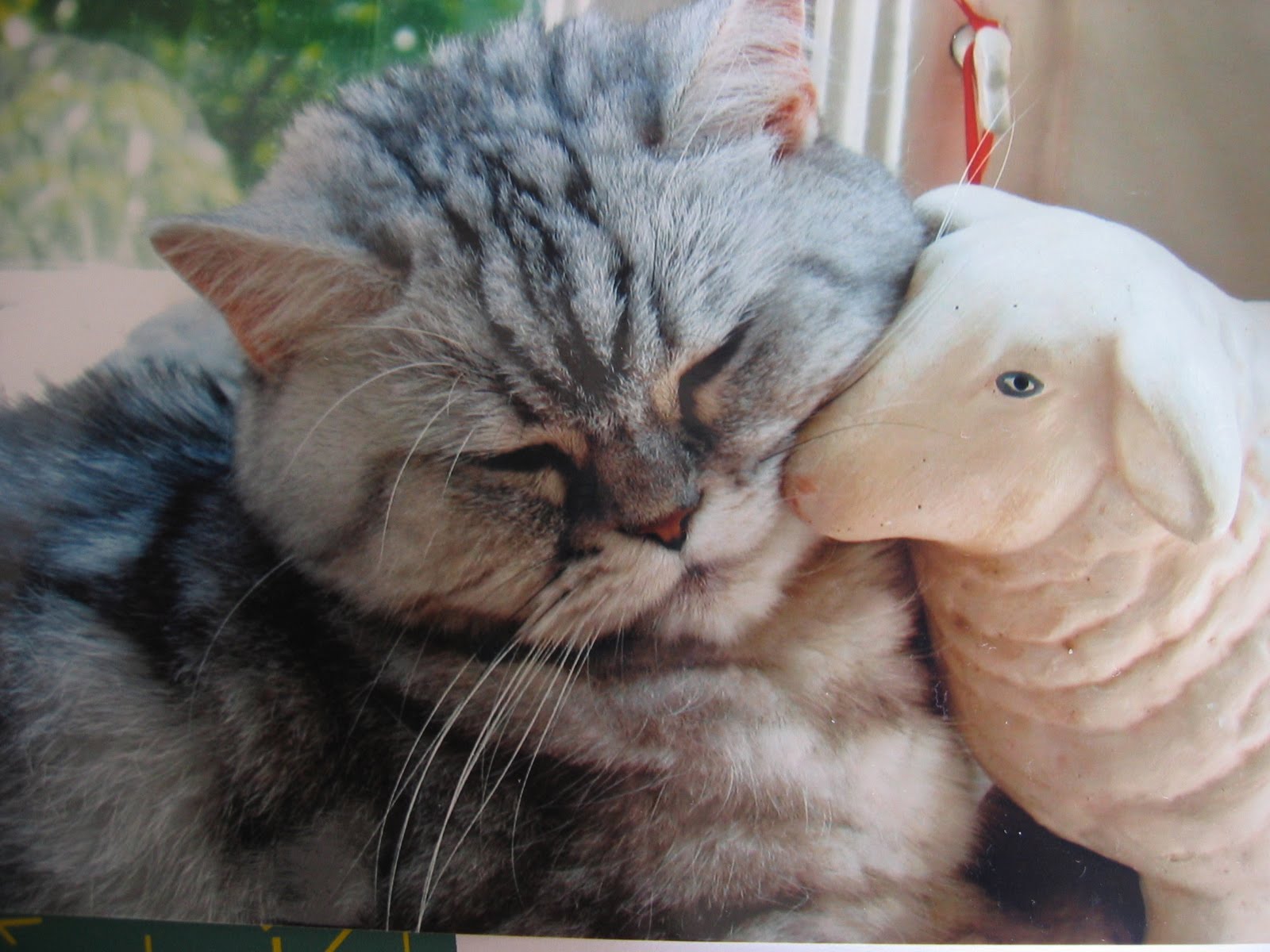 dutch quilt cat cats