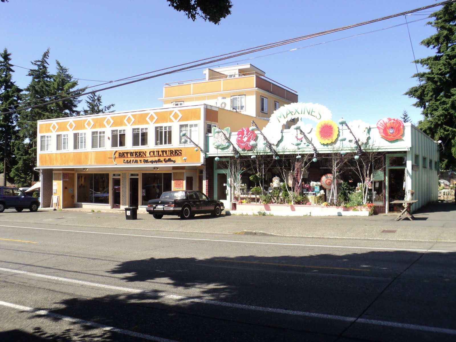 Walking Seattle Neighborhoods Maple Leaf