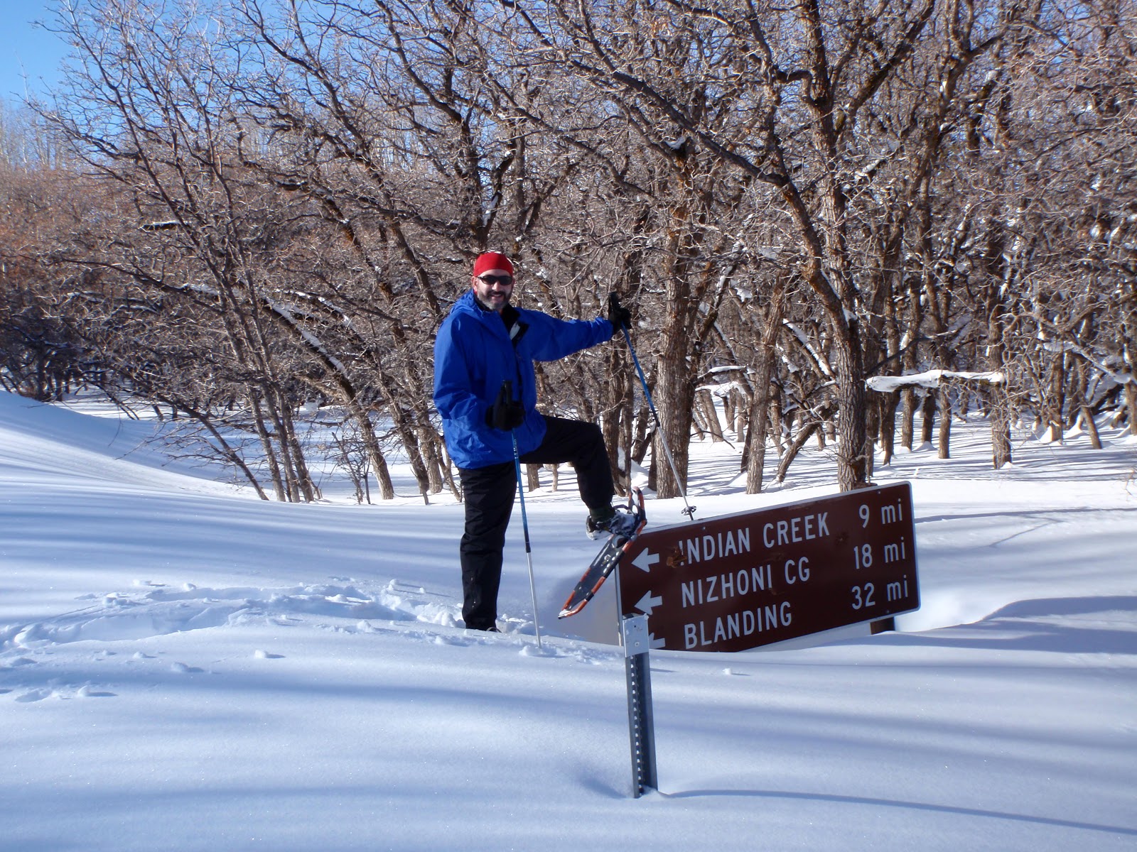 One Day in America Snowshoeing the Abajo Mountains in Southeastern Utah