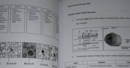 Biology A+: Nota Sempoi Biologi (Saiz A5)