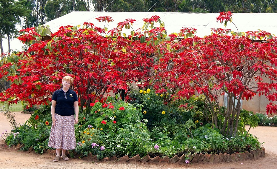 Activation International May 2013