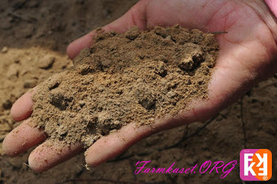 ปลูกพืชให้ได้ผลดีที่สุด ต้องรู้จักดิน ต้องรู้จักโครงสร้างของดิน