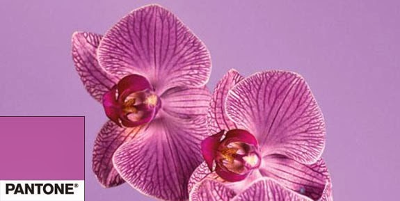 Radiant Orchid u Orquídea Radiante, el color del 2014
