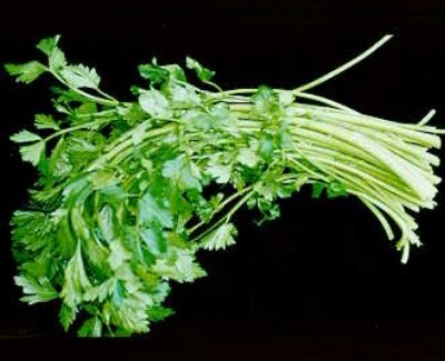 Daun Kemangi Dan Seledri Peningkat Gairah Pria Tips Wisata Murah Home