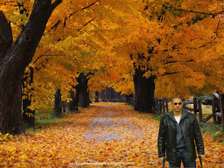 Vin Diesel action movie actor with two guns in Autumn Trees Desktop Wallpaper