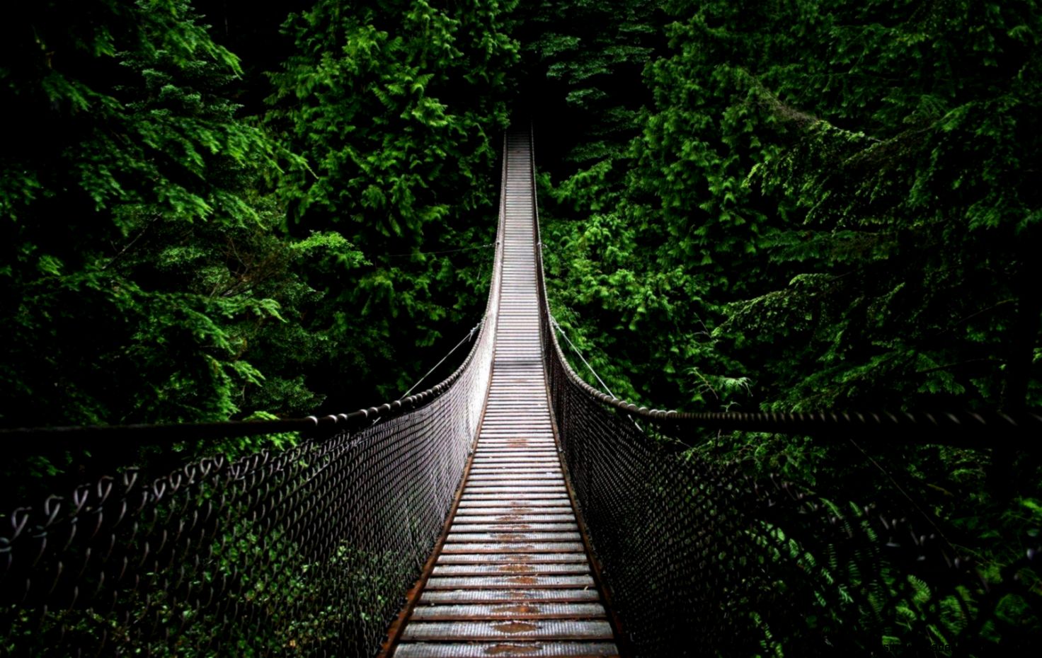 Cool Desktop Backgrounds LK9   wallensteyn