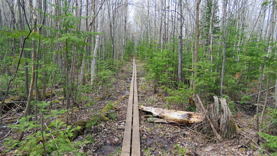 The Agatelady Adventures And Events Porcupine Mountains Day 1