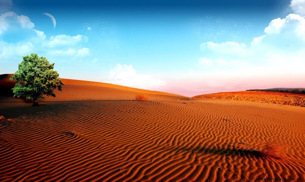 Desert Landscape Wallpaper Hd