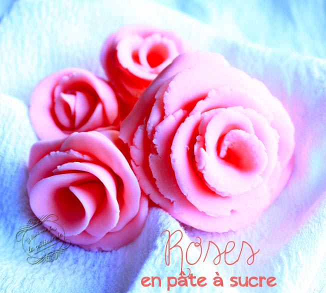 Tuto rose en pâte à sucre