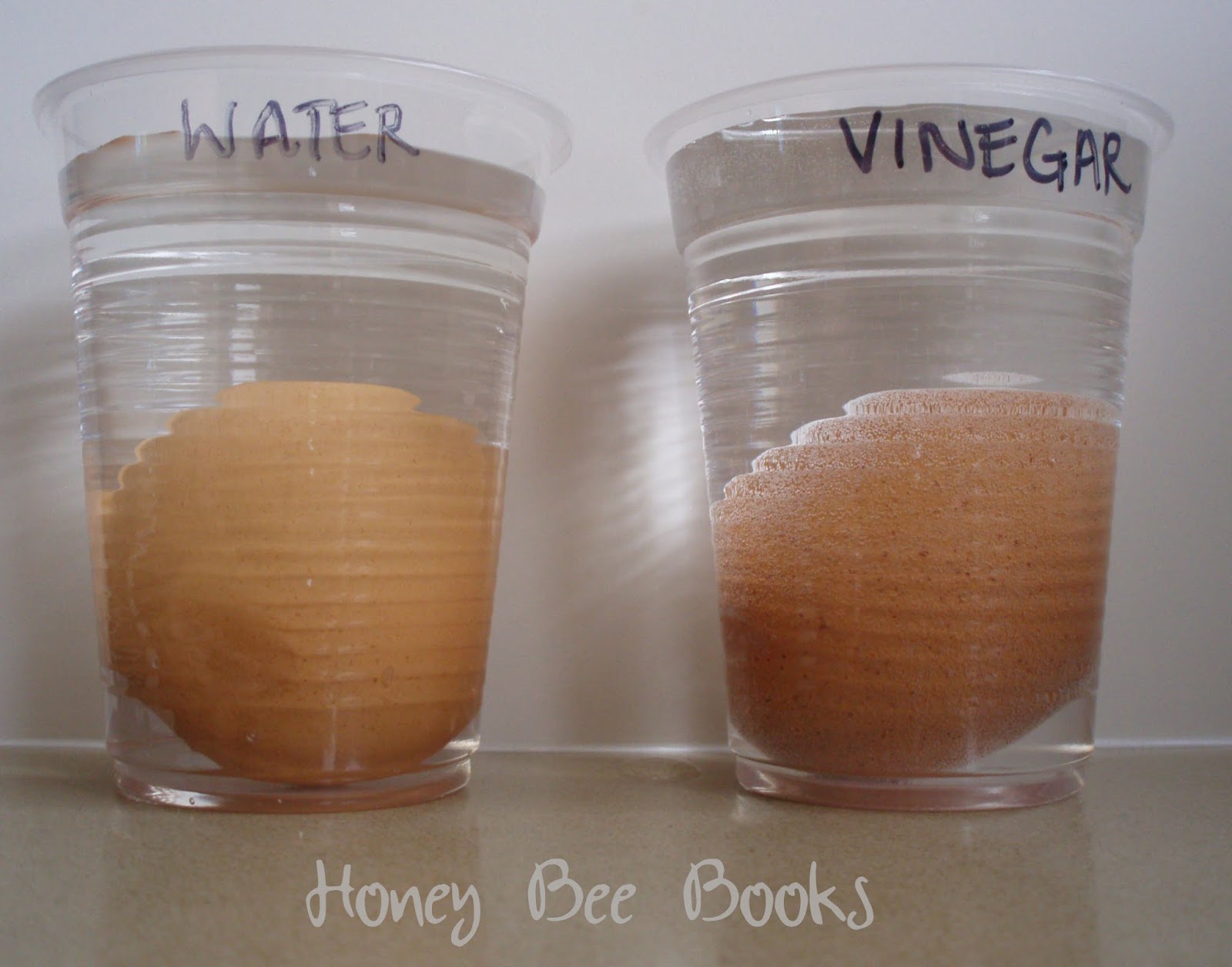 Egg In Vinegar Experiment Research