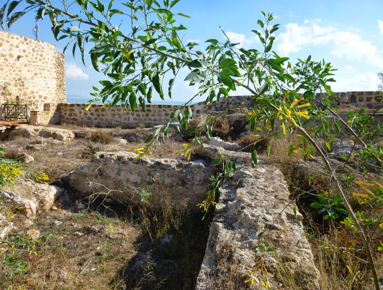 Guía de los Castillos, Torres y Fortificaciones de Alicante: Castillo