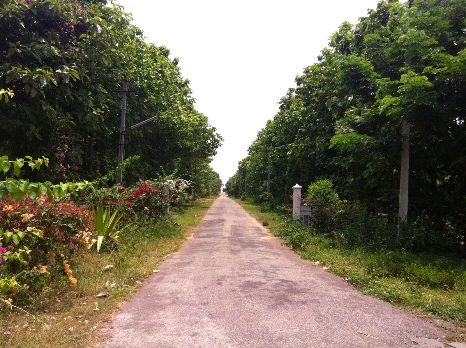 Emerald Enclave Apartments behind Infosys Mysore