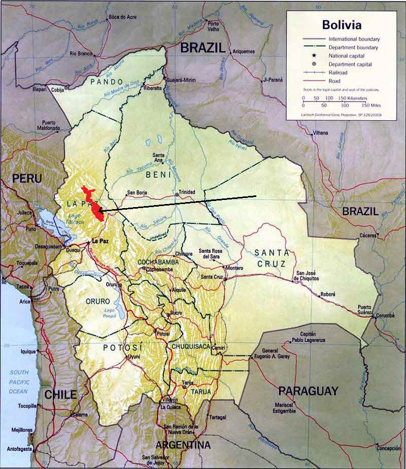 Laberinto en extinción Cotinga de Apolo (Phibalura boliviana)
