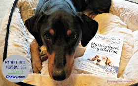 doberman rescue dog chicken soup for the soul