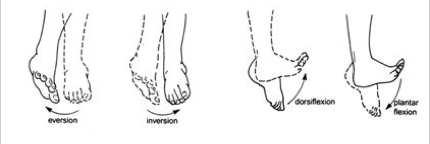 B h a v a n a: Asana por Asana