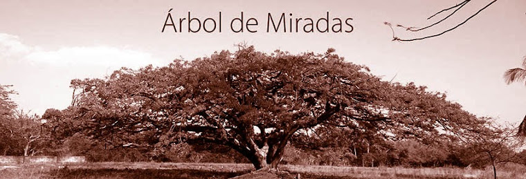 Árbol de Miradas