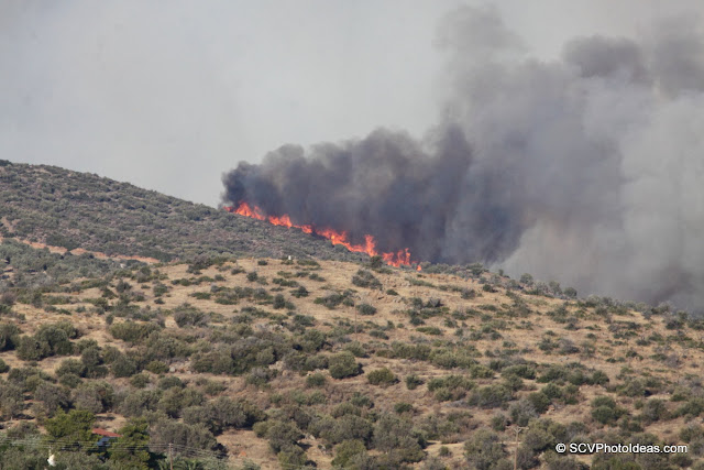 Summer Wildfire visible up close II