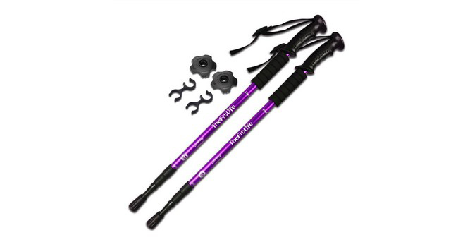 costco carbon fiber trekking pole