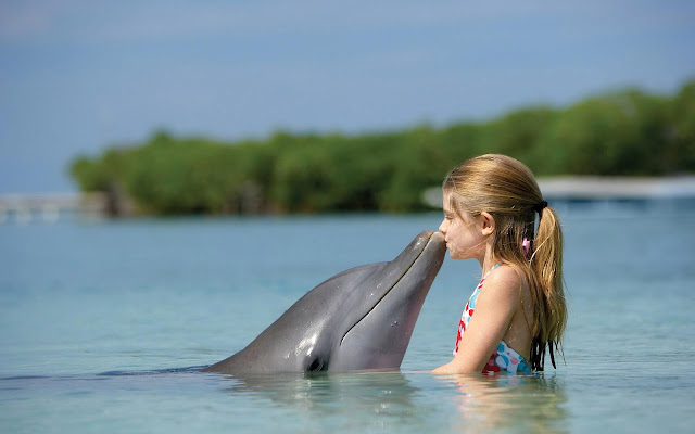 Beautiful photo of a dolphin kissing a little girl in the water