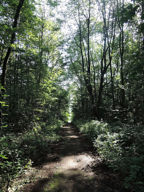 Frau K Wandert Im Saarland Page 5 Chan 51192370 Rssing Com