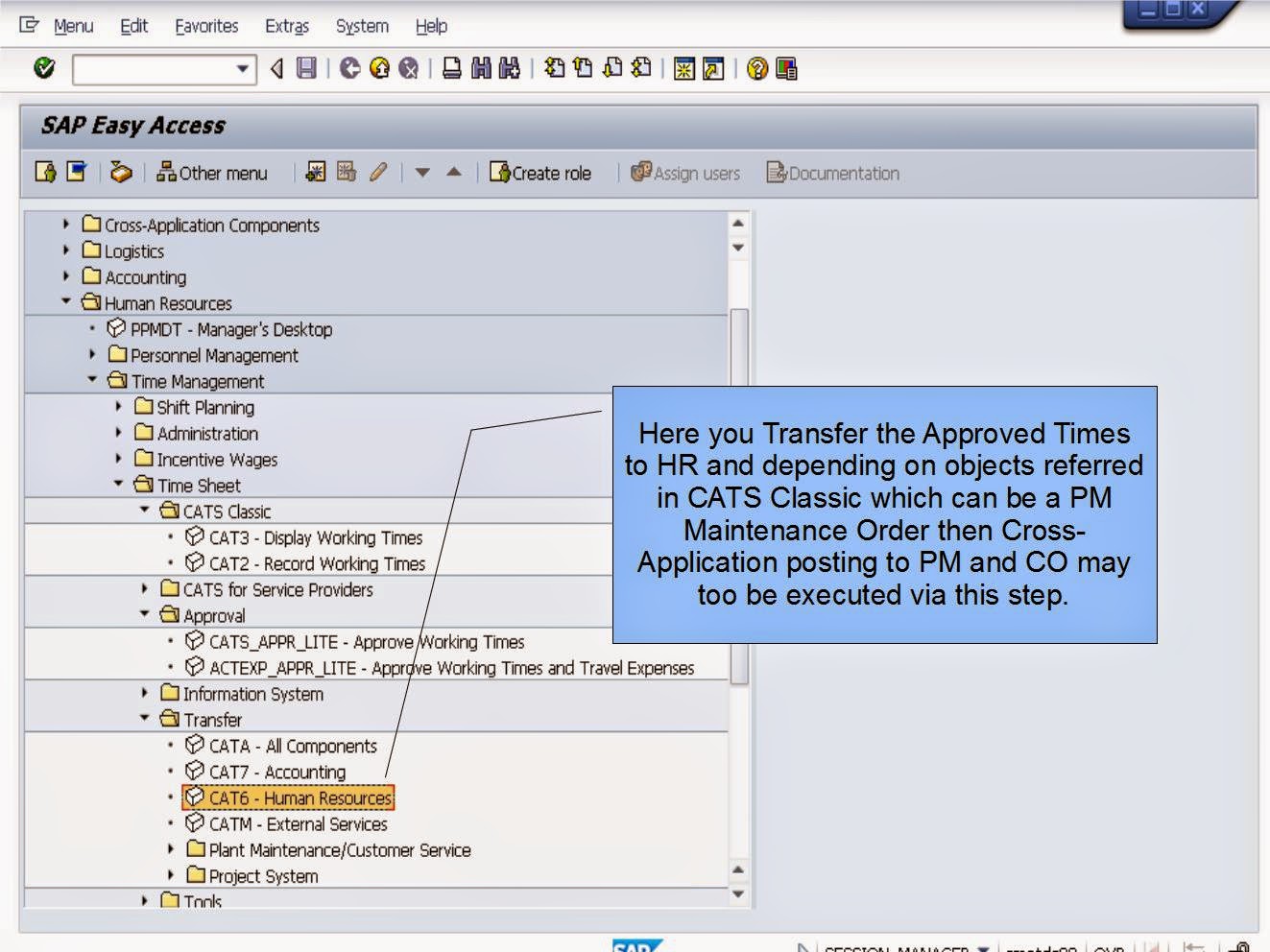 青蛙SAP分享 Froggy's SAP sharing SAP HCM Time Management CATS Approval