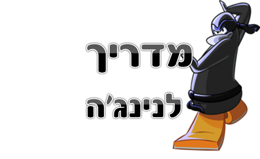 מדריך איך להיות נינג'ה