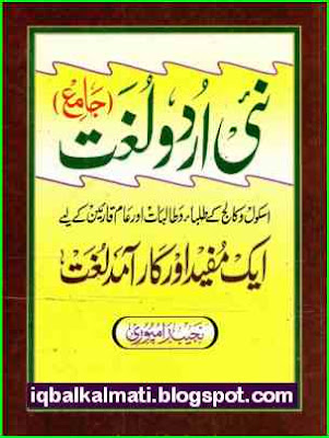 Modern Urdu Dictionary 