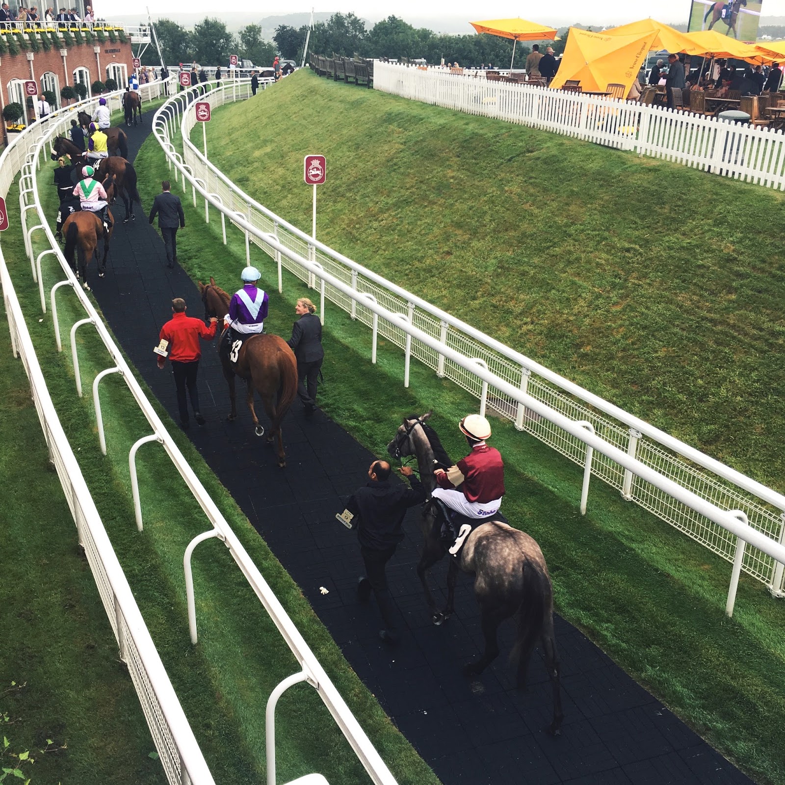 Goodwood Races