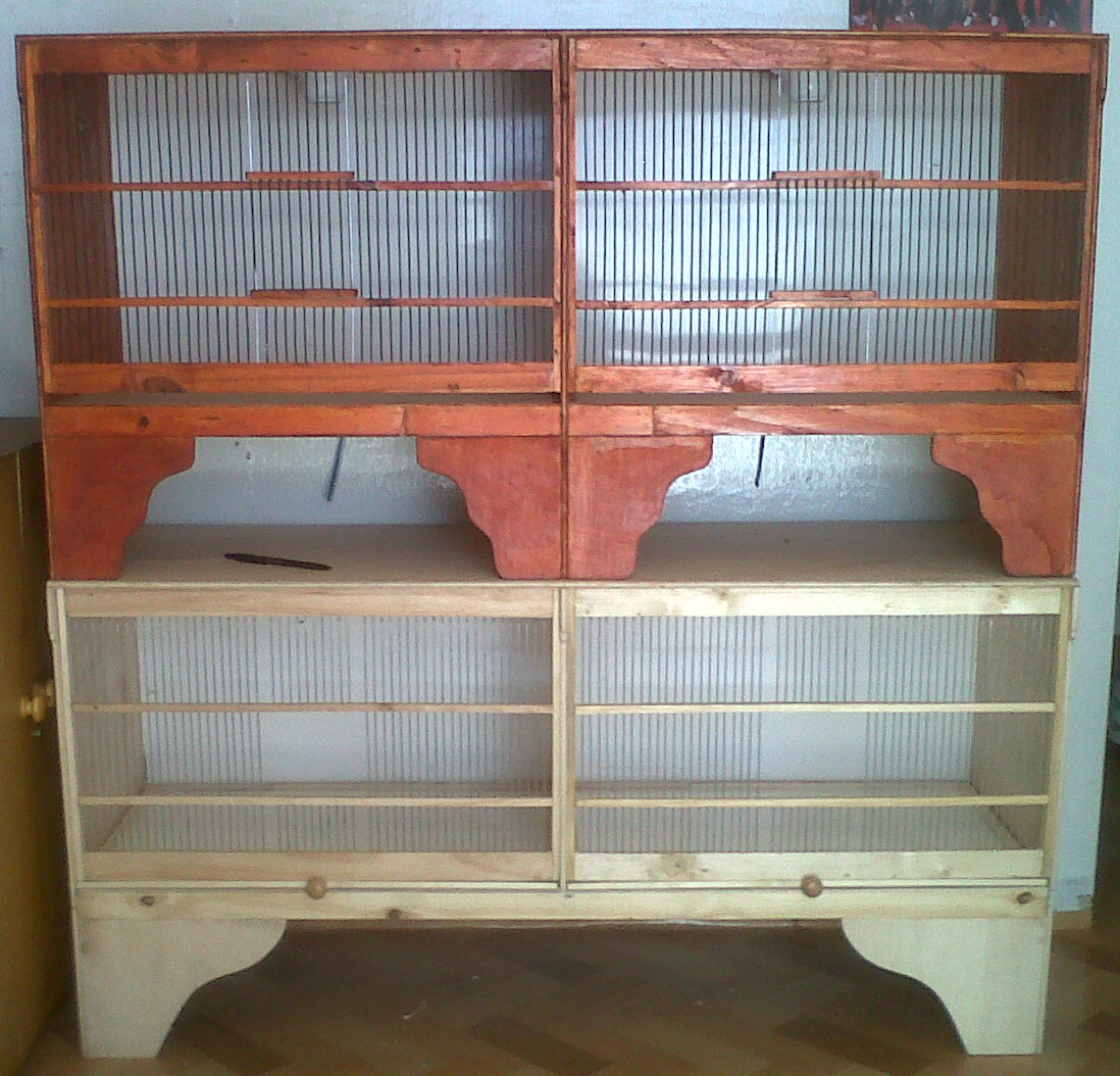 Kandang Ternak Kenari