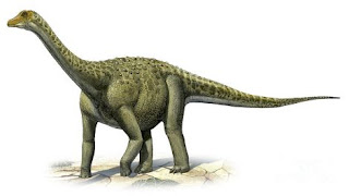 صور ديناصور , انواع الديناصورات بالصور