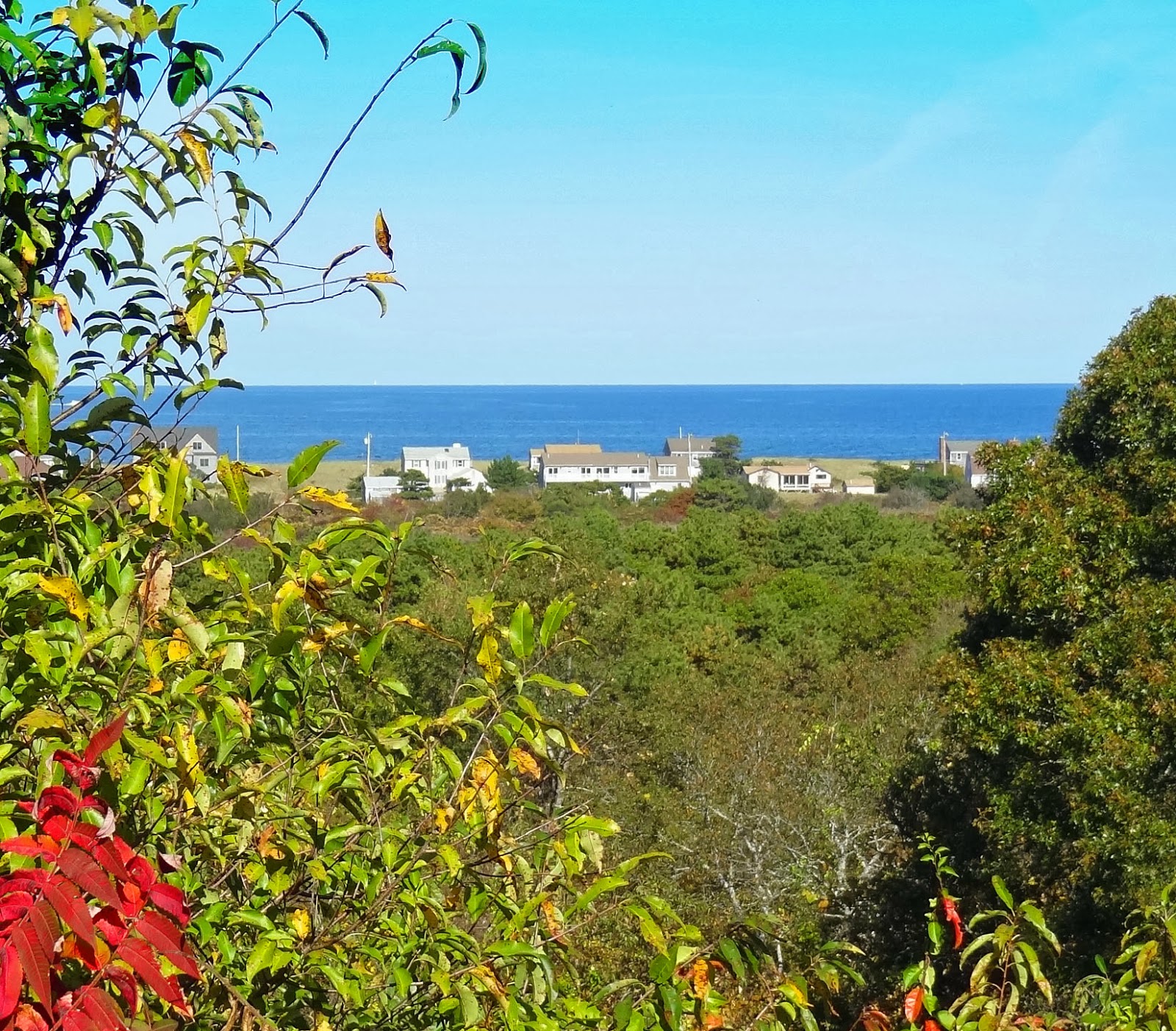 Joe's Retirement Blog Sagamore Hill, Scusset Beach State Reservation, Sagamore Beach, Bourne